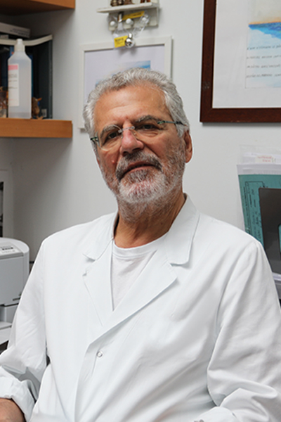 Dr. Manlio Cabria